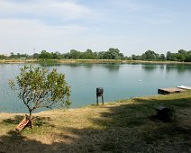 20110521 - Lago dei Cigni di Muggiano_002