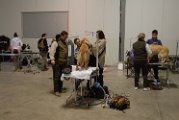 20120114 - Esposizione Canina Fiera Rho_006