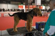 20120114 - Esposizione Canina Fiera Rho_016